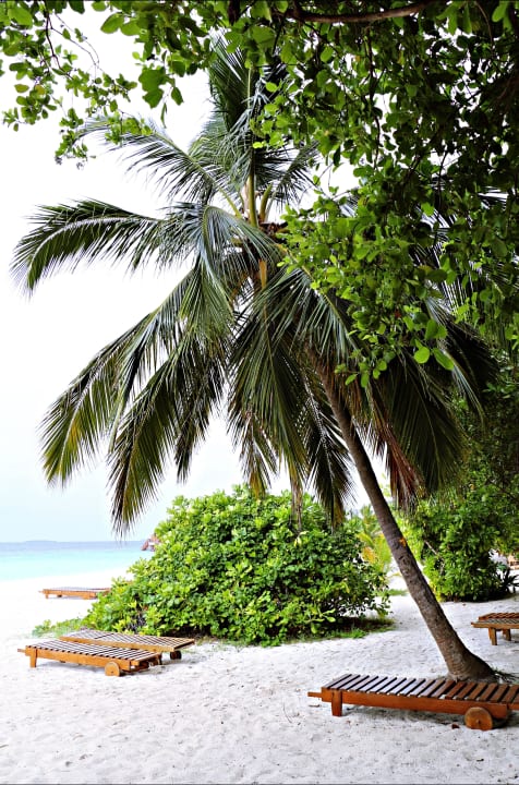 Der Nordstrand am Pool Adaaran Select Meedhupparu Island Resort - Premium All Inclusive