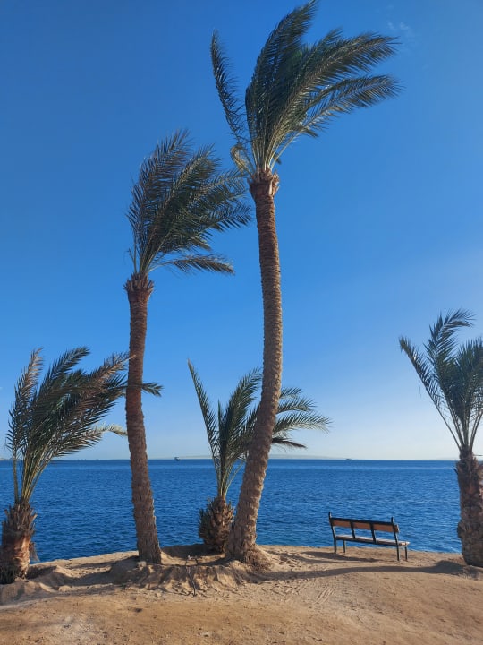 Gartenanlage Continental Hotel Hurghada