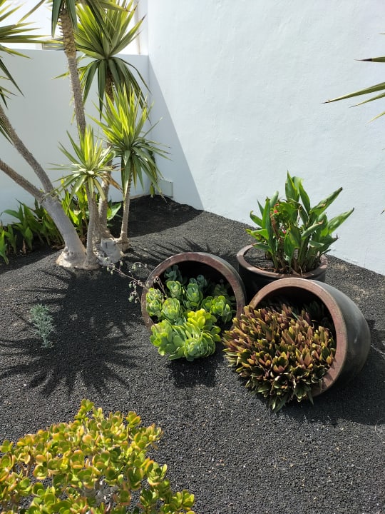 Gartenanlage Hotel Las Costas