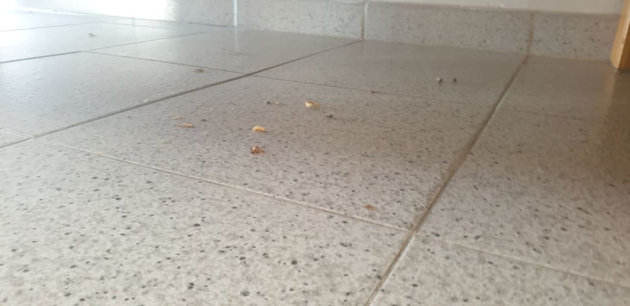 Zimmer Ereza Apartamentos Los Hibiscos- Adults Only