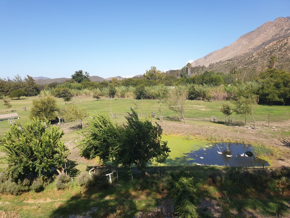 Gartenanlage Guesthouse Kogman & Keisie