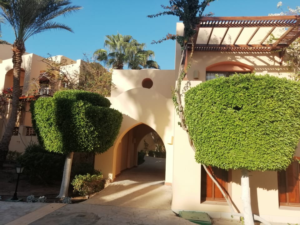 Sonstiges Steigenberger Coraya Beach - Adults only