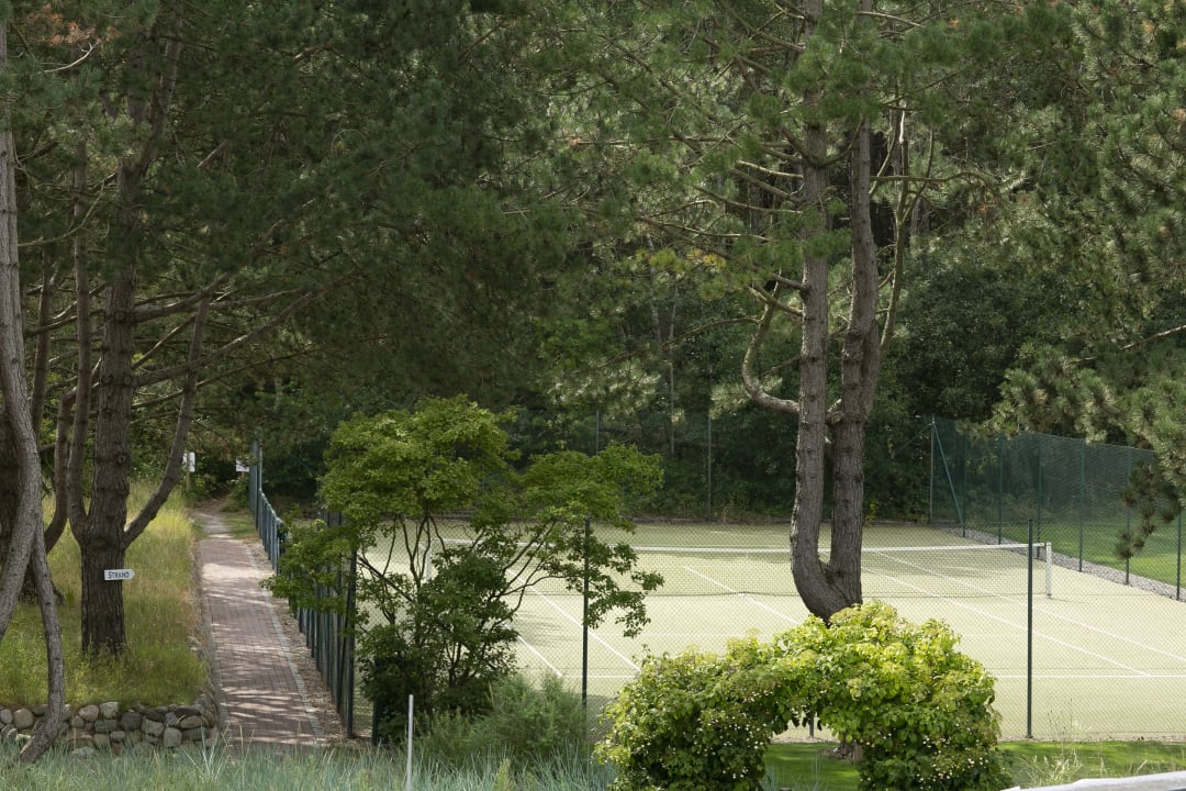 Ausblick AALERNHÜS Hotel & Spa