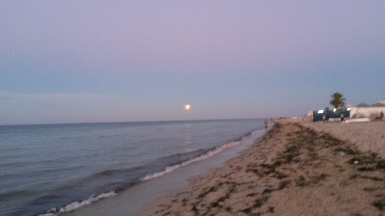 Strand Hotel Hasdrubal Prestige Thalassa & Spa