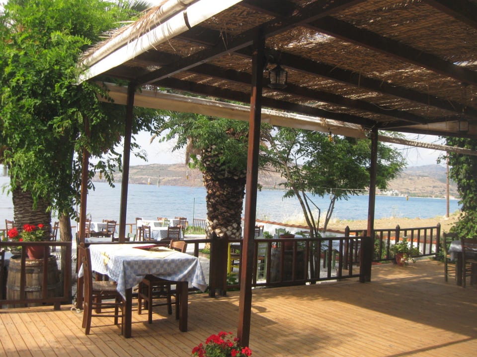 Schöne Strandtaverne Hotel Alma Beach