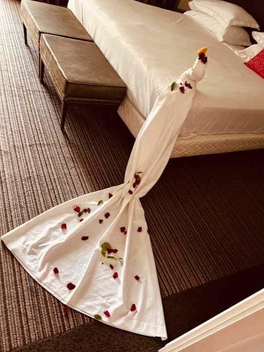 Zimmer Oceana Hotel & Spa