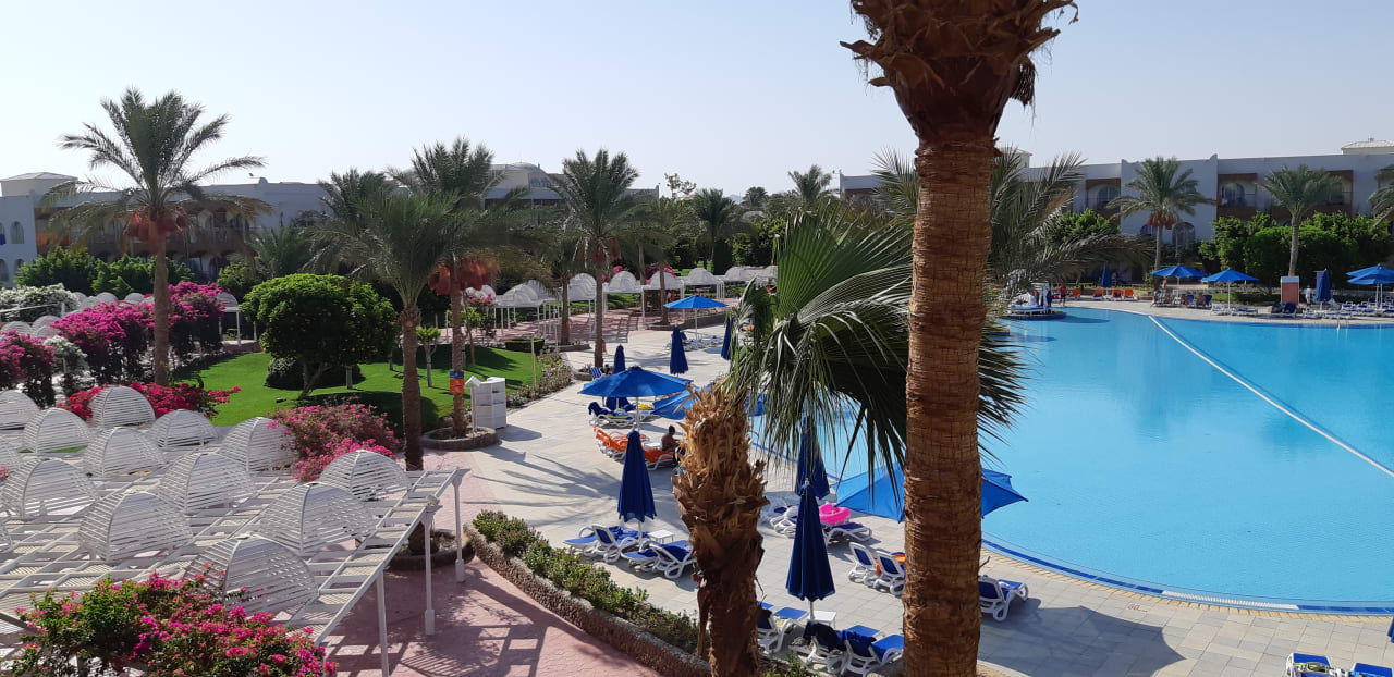 Ausblick  Desert Rose