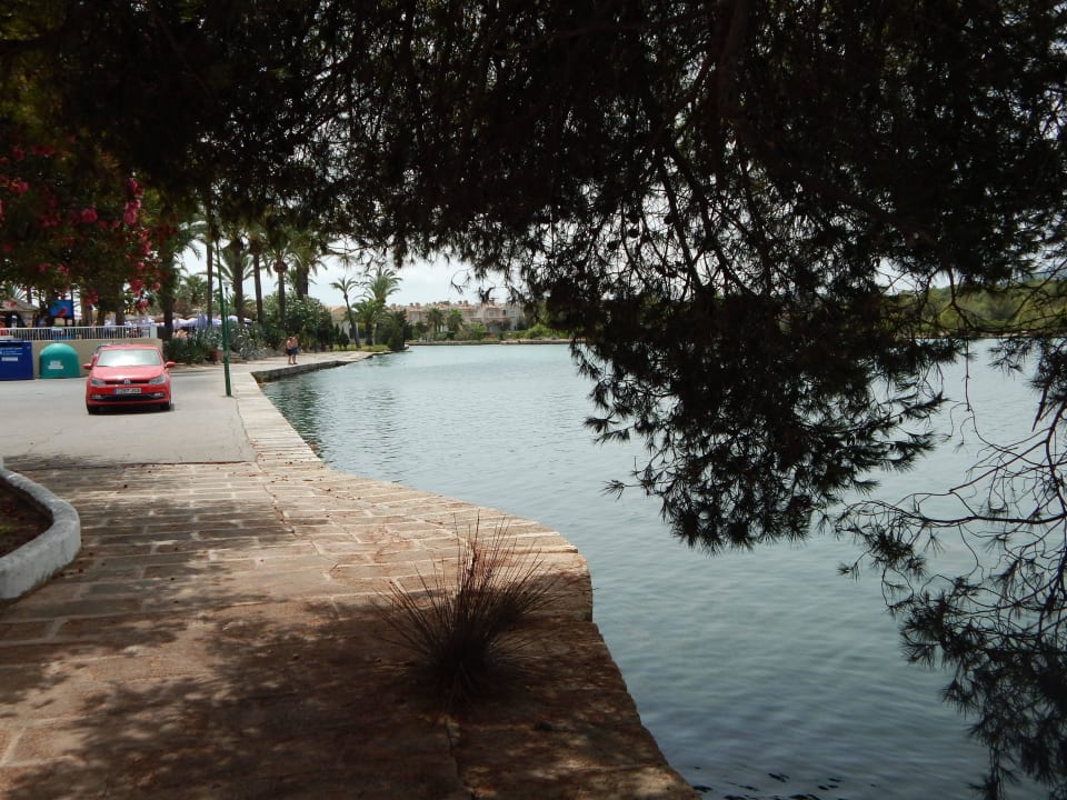 Wieder am See VIVA Eden Lago