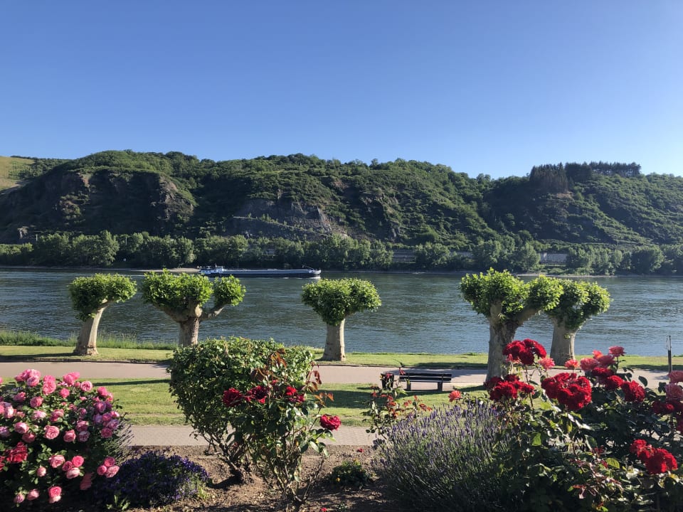 Ausblick Hotel Villa am Rhein