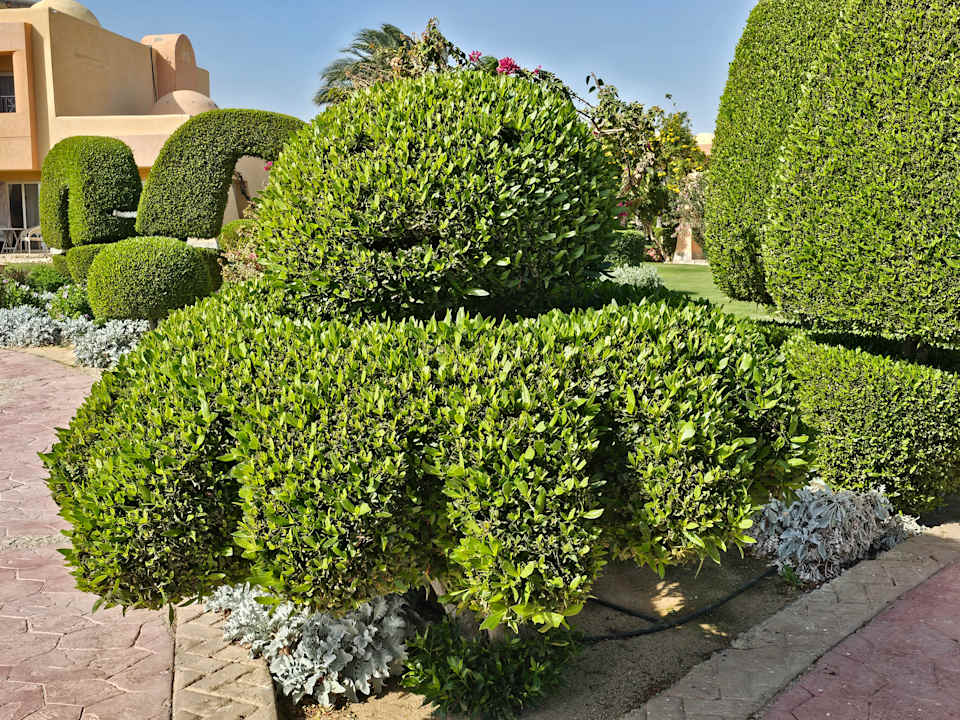 Gartenanlage Wadi Lahmy Azur Resort