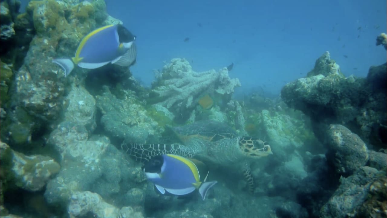 Sport & Freizeit Summer Island Maldives