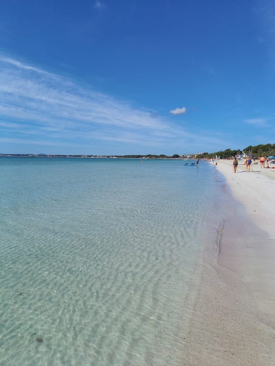 Strand Alcudia Garden Aparthotel