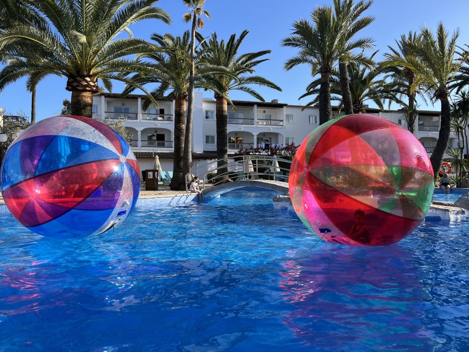 Pool Alcudia Garden Aparthotel