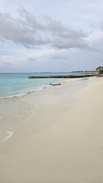 Strand Adaaran Select Meedhupparu Island Resort - Premium All Inclusive