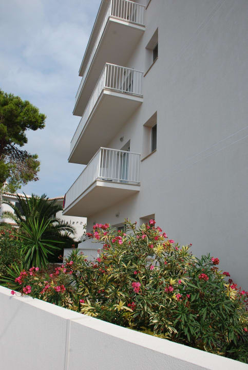 Zadbane ogrody Hotel Playa Azul