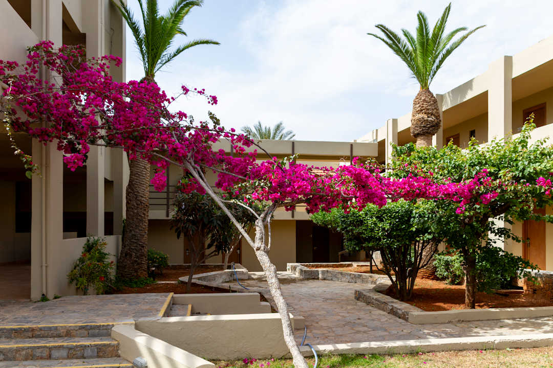 Gartenanlage allsun Hotel Malia Beach