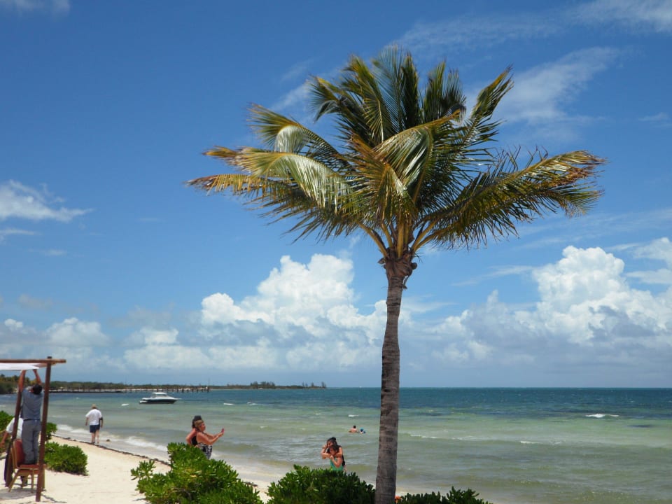 Blick zum Strand BlueBay Grand Esmeralda