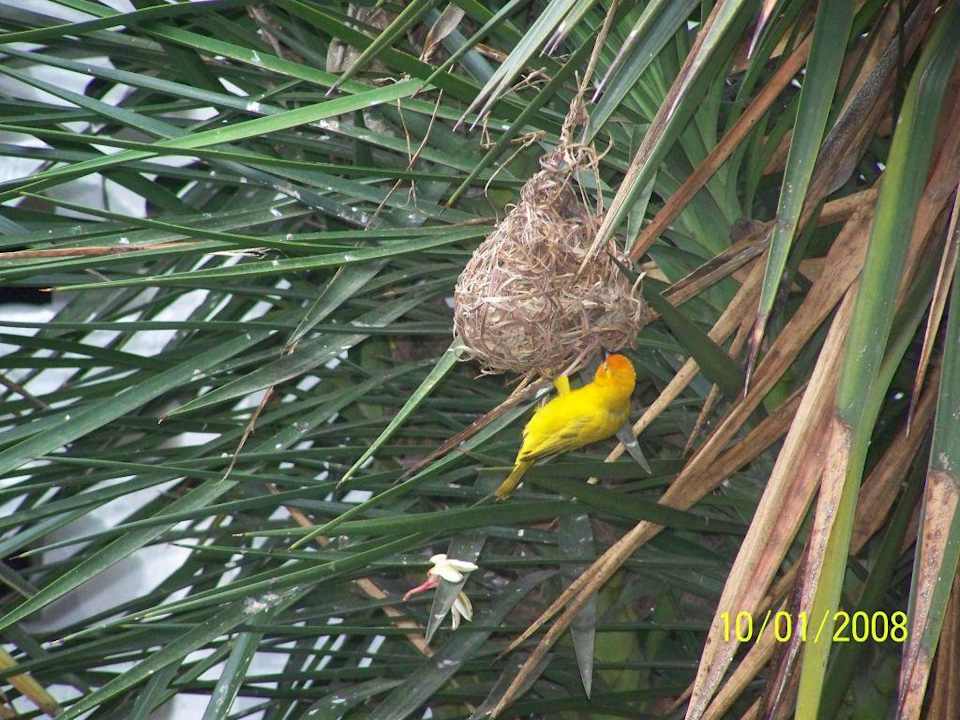 Im Hotel Kaskazi Beach Resort