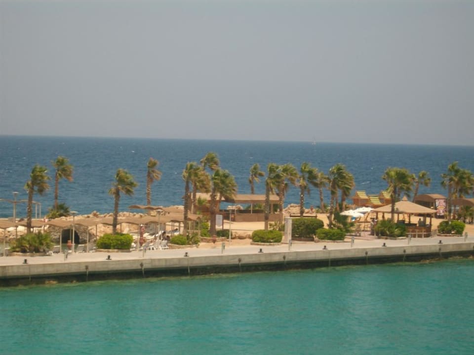 Ausblick vom Pool Pickalbatros Citadel Resort