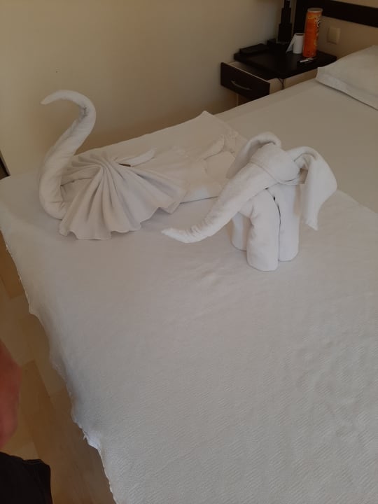 Zimmer Hotel Orfeus Park