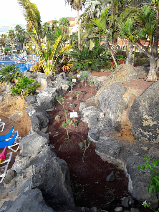 Ausblick Bahia Principe Sunlight Costa Adeje