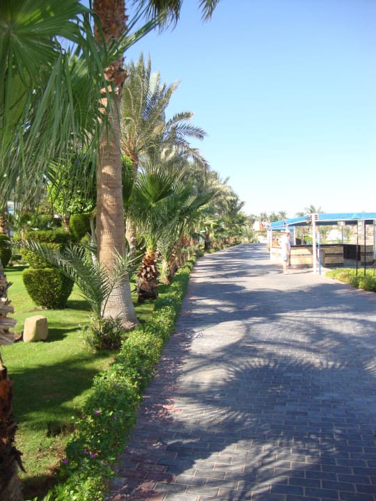 Powrót z plaży Sultan Gardens Resort