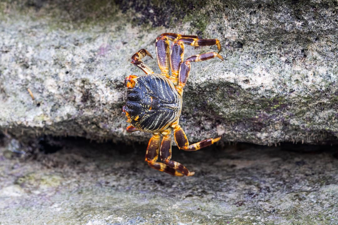 Strand Summer Island Maldives