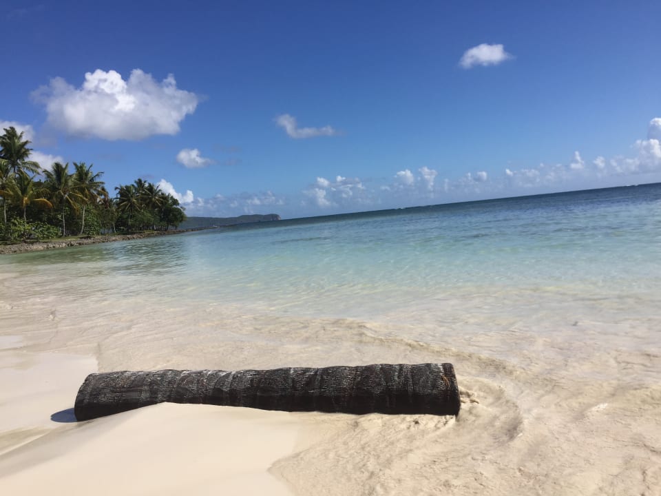 Strand Wyndham Alltra Samana