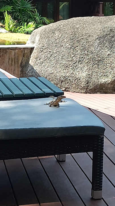 Außenansicht Khao Lak Merlin Resort