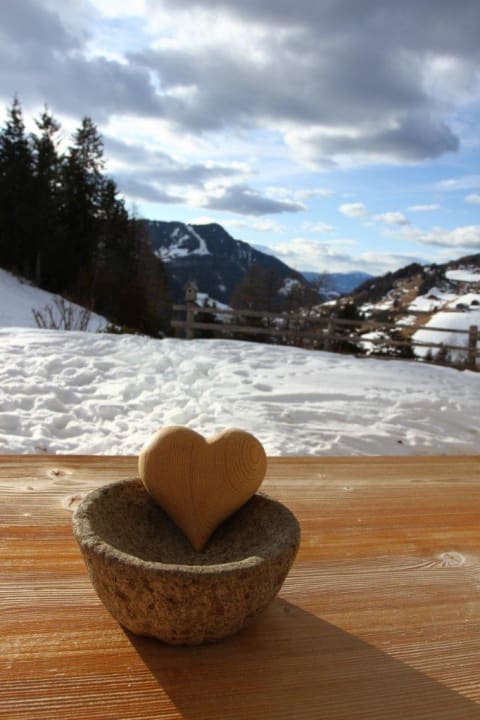 Heart of hospitality Mountain Chalet Pra Ronch