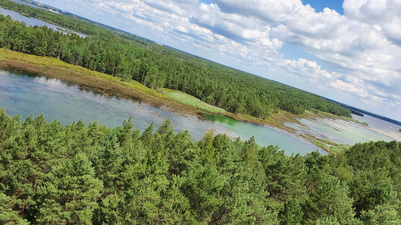 Ausblick Familienpark Senftenberger See