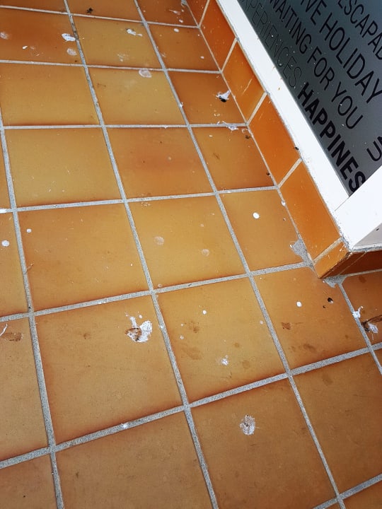 Außenansicht FERGUS Style Bahamas