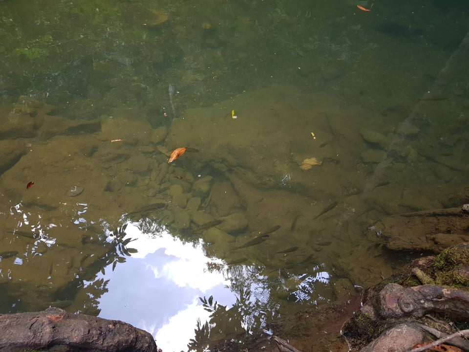 Sonstiges The Waters Khao Lak by Katathani