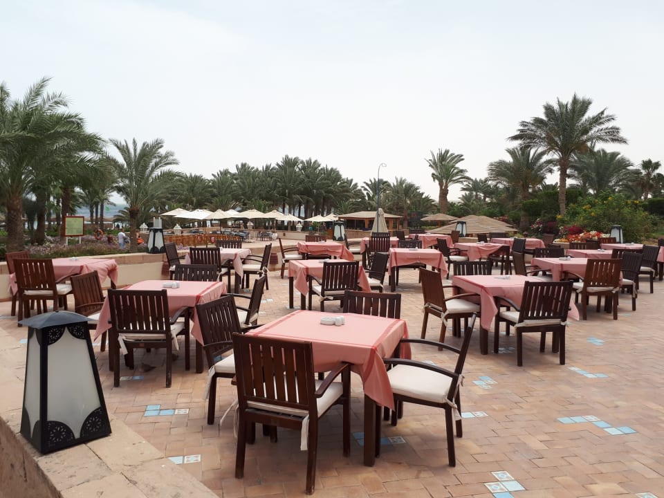 Gastro Fort Arabesque Resort, Spa & Villas