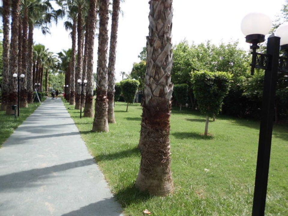 Der Weg zum Strand Hotel Gardenia Beach