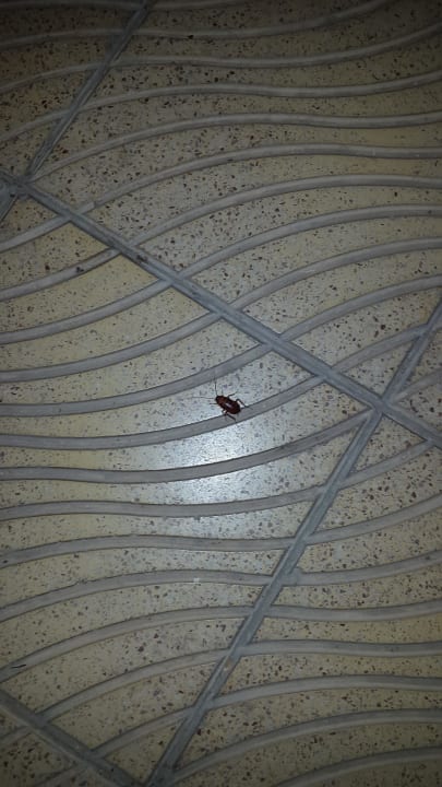 Karkalaken Golden Beach Resort