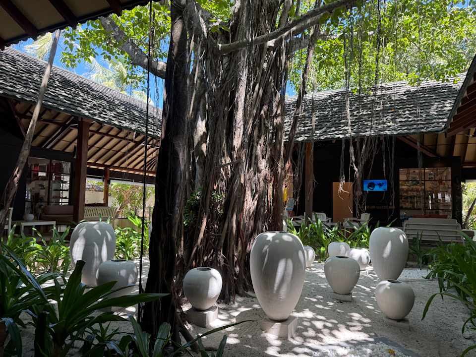 Lobby Adaaran Select Meedhupparu Island Resort - Premium All Inclusive
