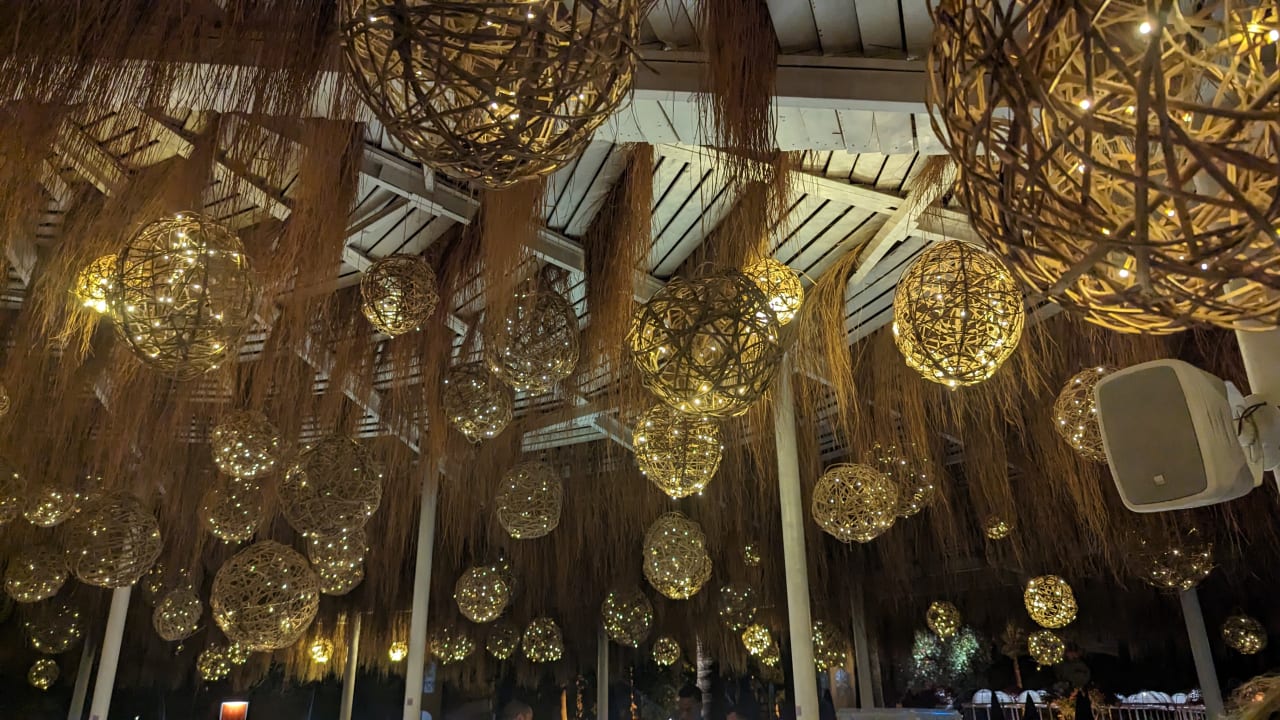 Sonstiges Desert Rose