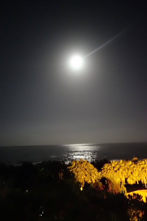 Hotel Marina Club  Hotel Marina Club