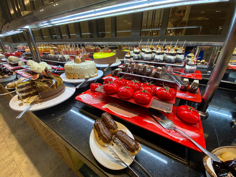 Gastro Seashell Vega