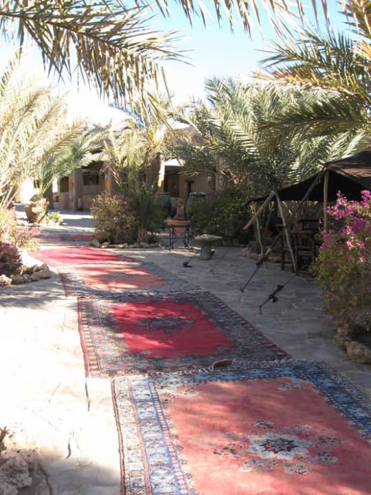 Garten Kasbah Hotel Xaluca Arfoud