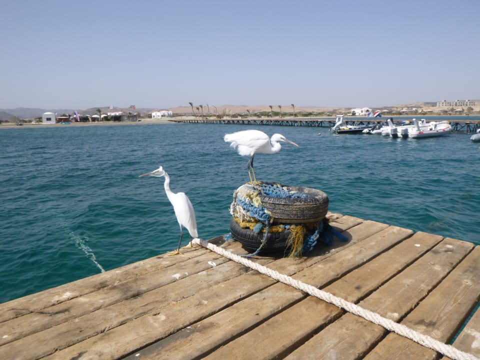 Strand Three Corners Equinox Beach Resort
