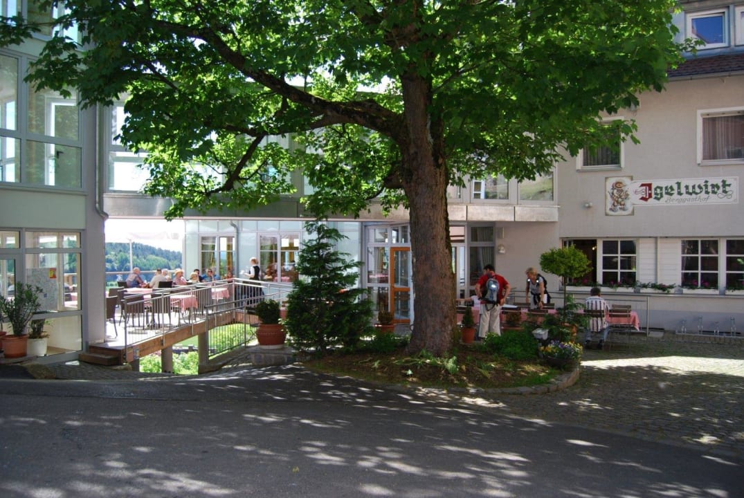 Ahornbaum und Biergarten Berggasthof-Hotel Igelwirt