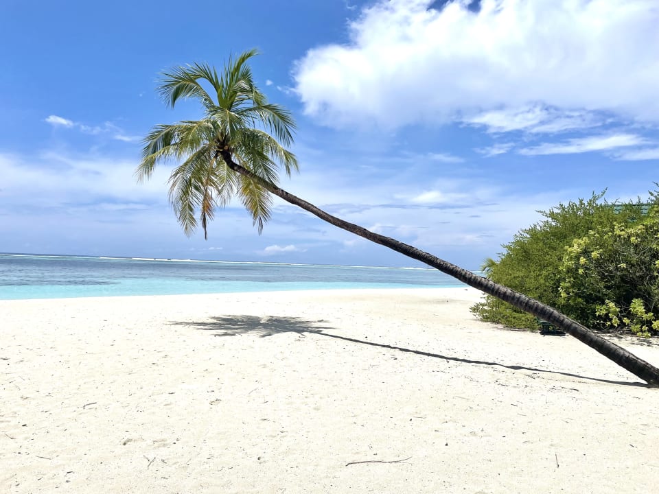 Strand Meeru Maldives Resort Island