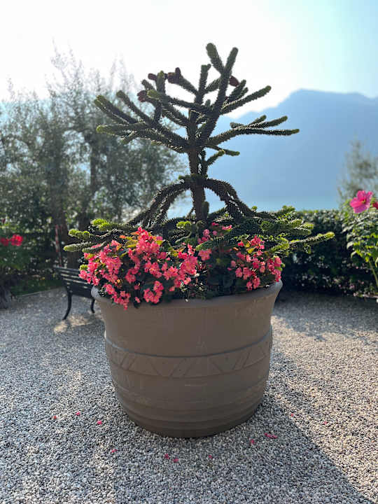 Sonstiges Relax Hotel Villa La Gardenia & Oleandra