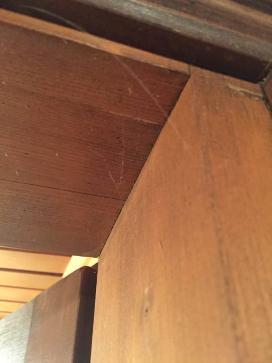 Spinnweben Natur Residenz Blaslahof