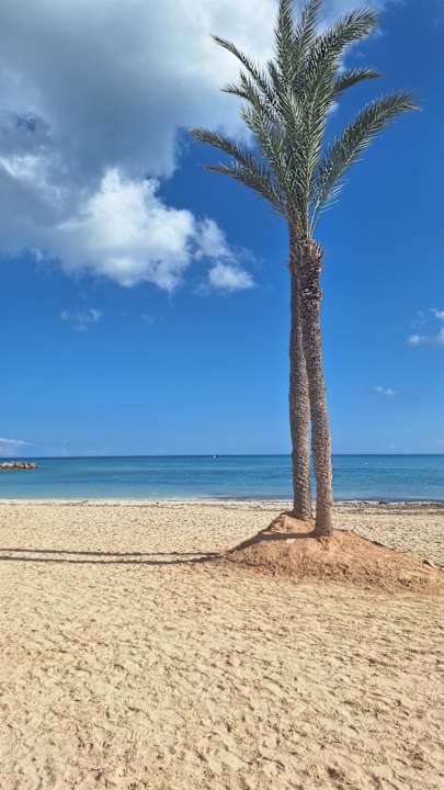 Strand Club Palm Azur