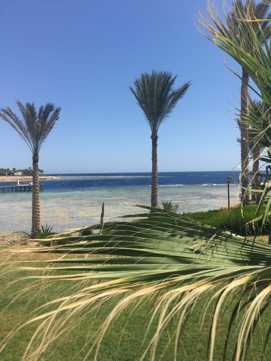 Strand Brayka Bay Resort