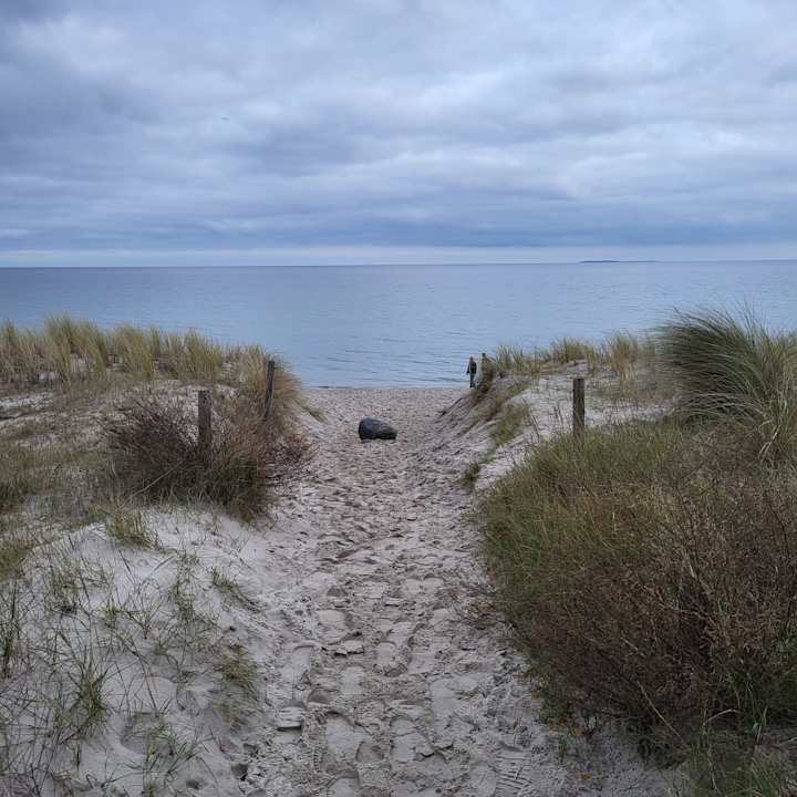 Strand Santé Royale Rügen Resort