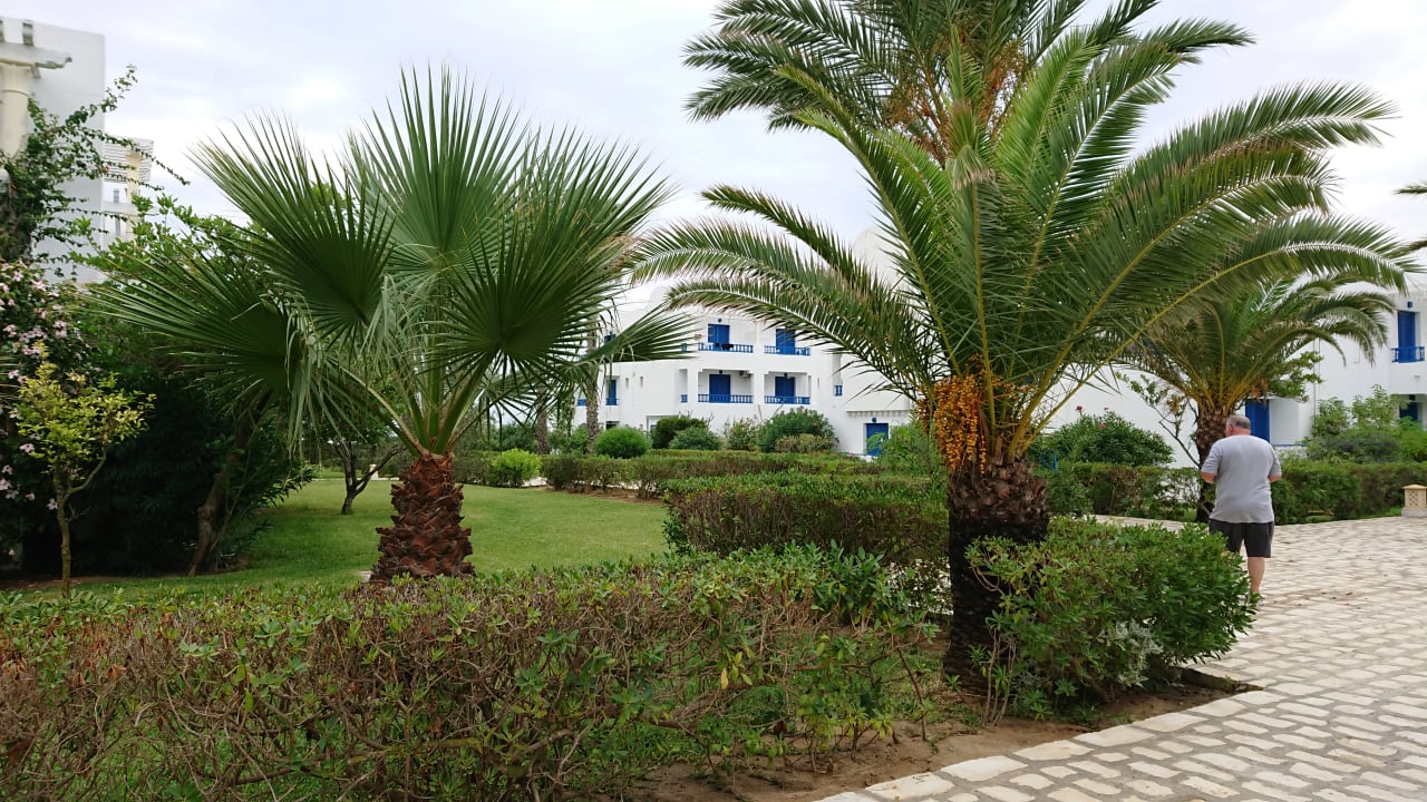 Gartenanlage Club Salammbô Hammamet